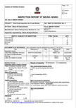 BV Test Report 1