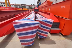 ヨーロッパのシングルガーダー天井クレーン3スケールのパッケージ