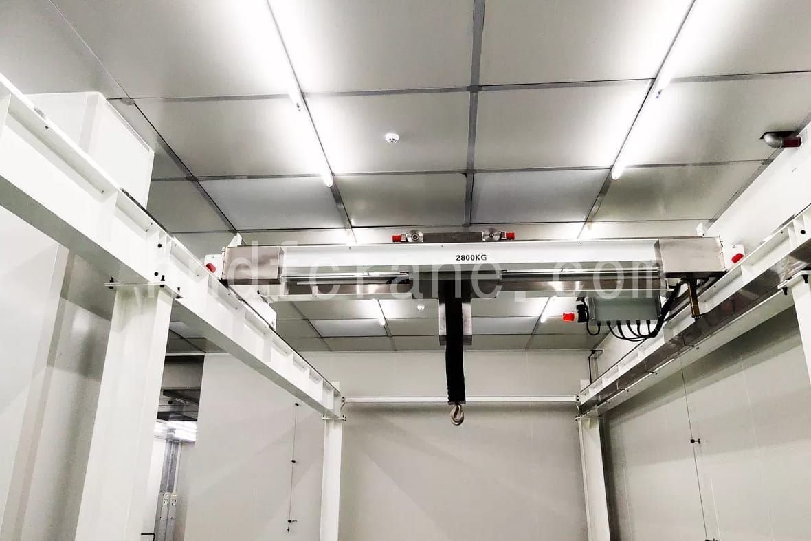 Cleanroom cranes2