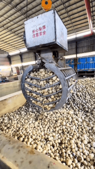 Crane Hydraulic Grabs 1