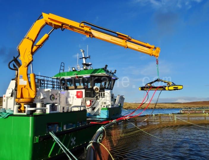 Foldable Knuckle Boom Cranes case