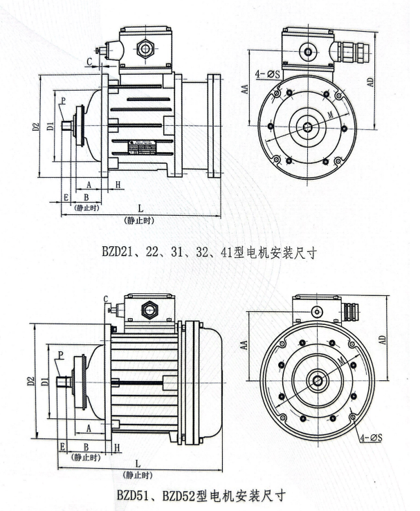 bzd1