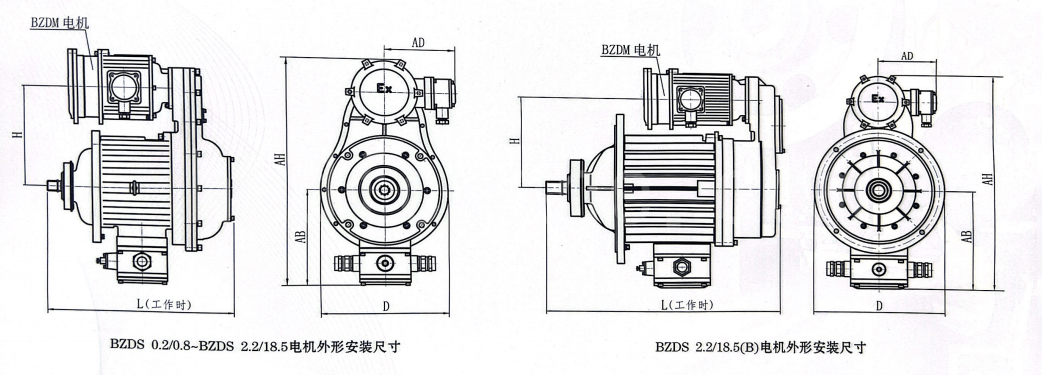 bzds1
